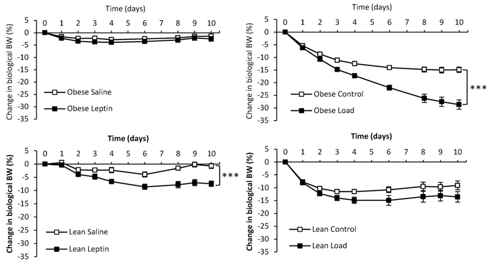 Four line graphs tracking body weight change over ten days in obese and lean mice given either leptin injections or added weight, showing leptin works only in lean mice and added weight works only in obese mice