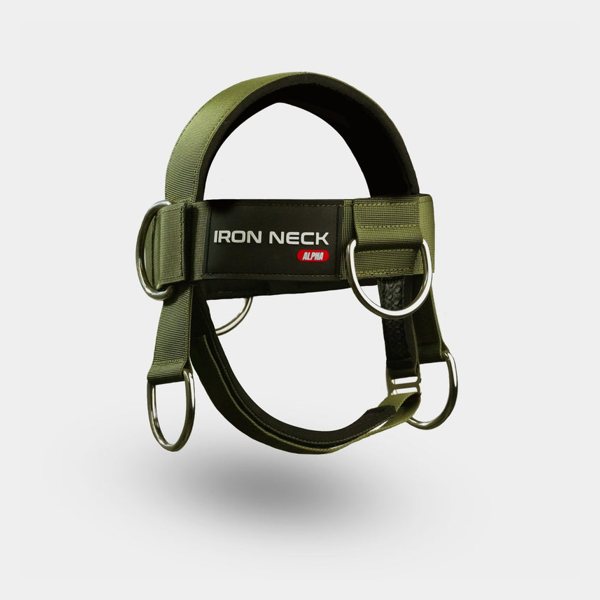 The Iron Neck Alpha head harness with a steel D-ring on each side