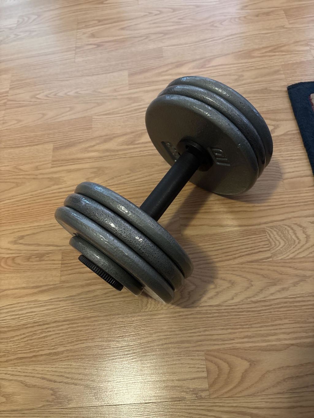 Loaded adjustable dumbbell standing upright on a wood floor