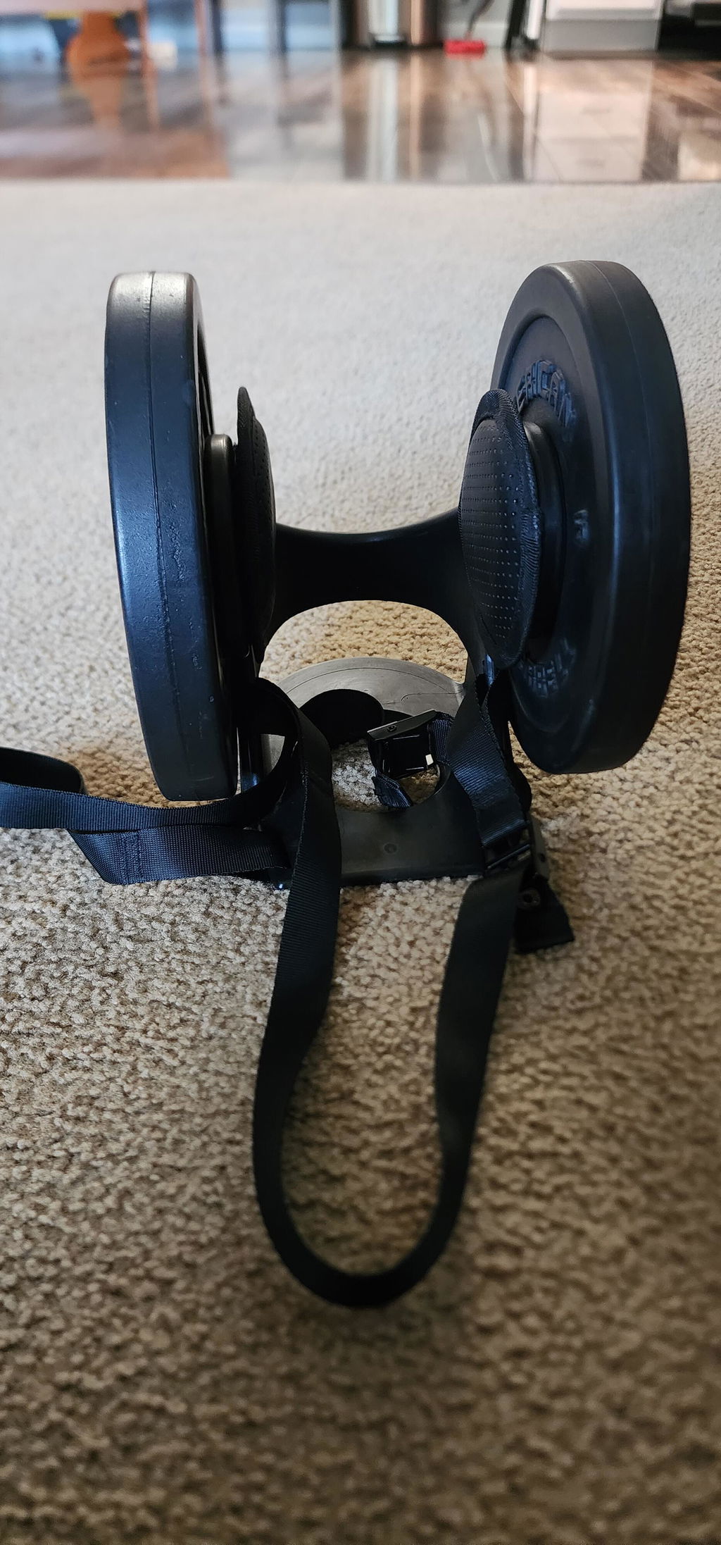 Training boot with plates loaded on the post